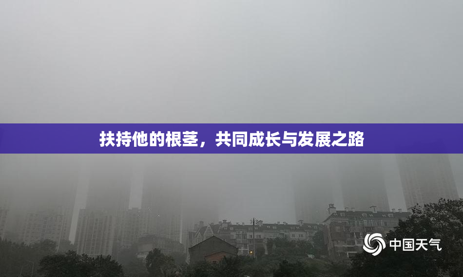 扶持他的根茎，共同成长与发展之路