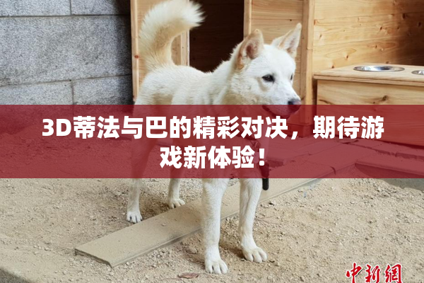 3D蒂法与巴的精彩对决，期待游戏新体验！