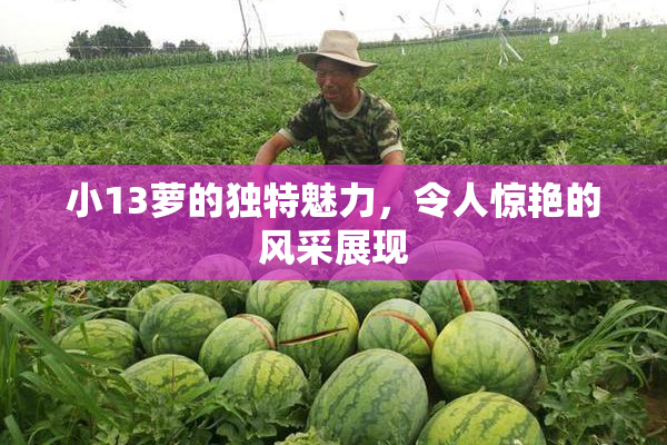 小13萝的独特魅力，令人惊艳的风采展现