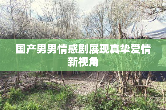 国产男男情感剧展现真挚爱情新视角
