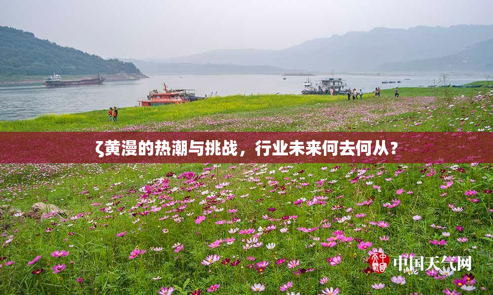ζ黄漫的热潮与挑战，行业未来何去何从？