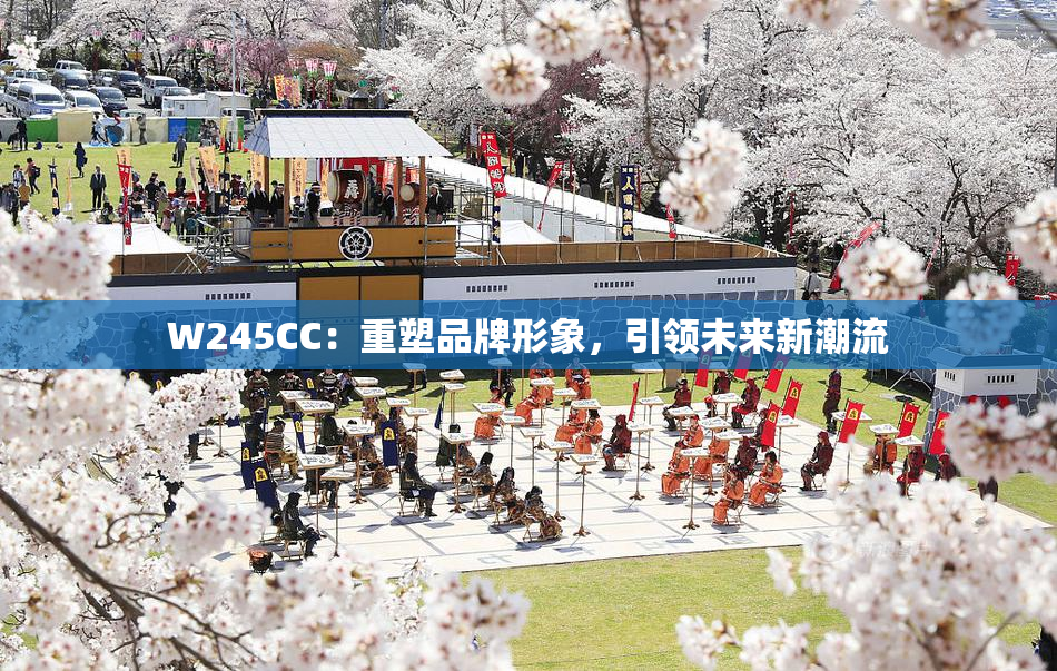 W245CC：重塑品牌形象，引领未来新潮流