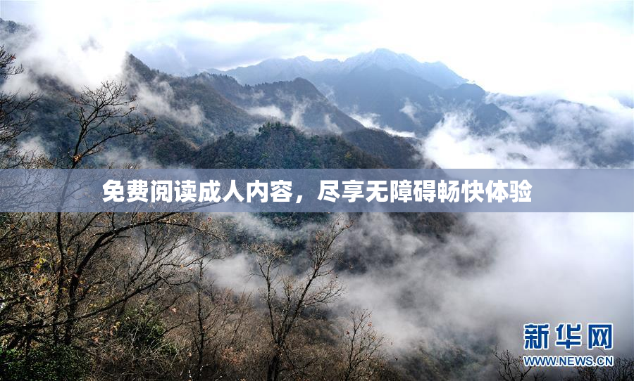 免费阅读成人内容，尽享无障碍畅快体验