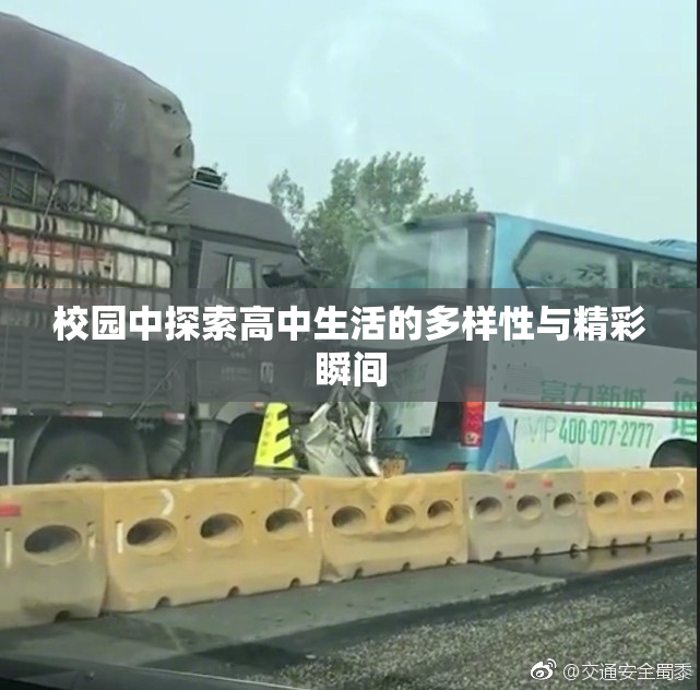 校园中探索高中生活的多样性与精彩瞬间