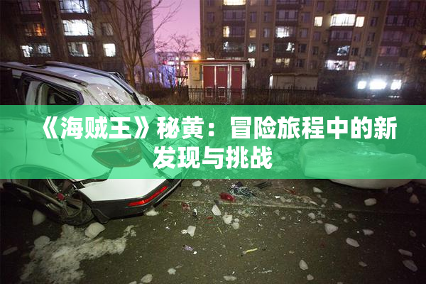 《海贼王》秘黄：冒险旅程中的新发现与挑战