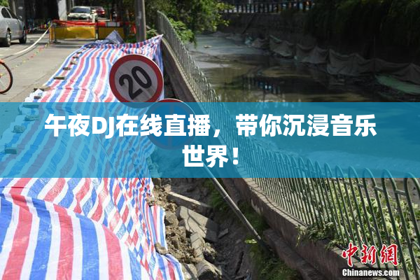 午夜DJ在线直播，带你沉浸音乐世界！