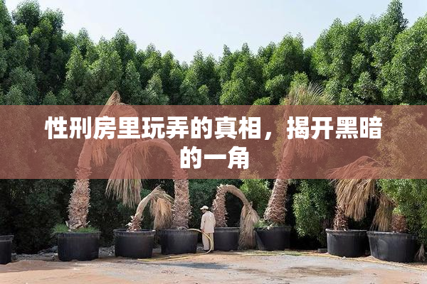 性刑房里玩弄的真相，揭开黑暗的一角