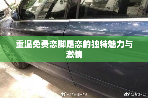 重温免费恋脚足恋的独特魅力与激情