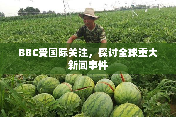 BBC受国际关注，探讨全球重大新闻事件