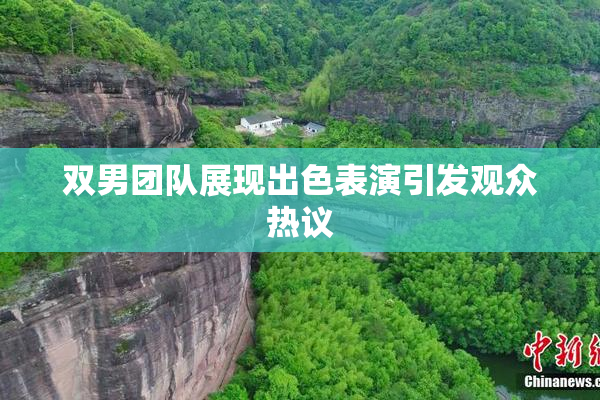 双男团队展现出色表演引发观众热议