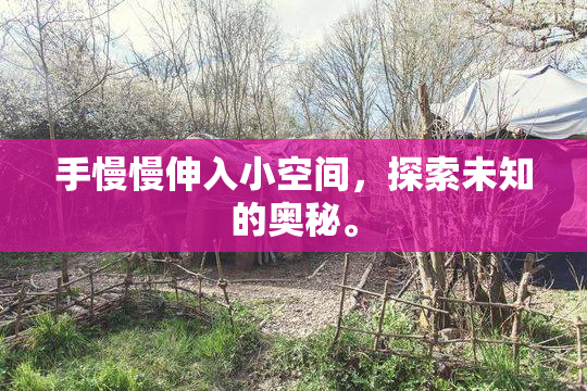 手慢慢伸入小空间，探索未知的奥秘。