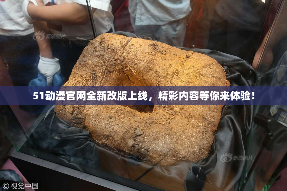 51动漫官网全新改版上线，精彩内容等你来体验！