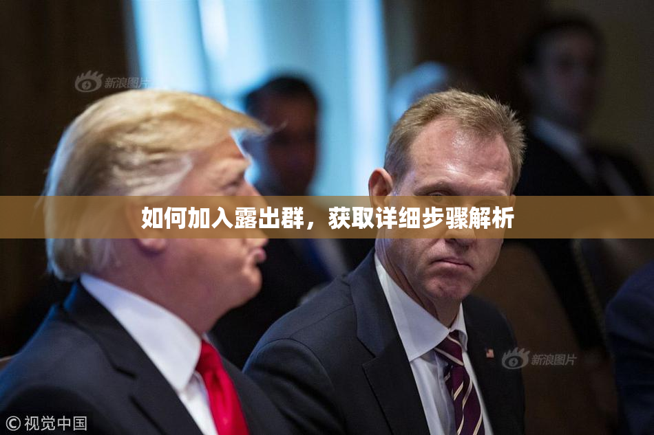 如何加入露出群，获取详细步骤解析