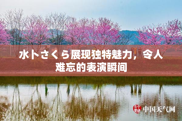 水卜さくら展现独特魅力，令人难忘的表演瞬间