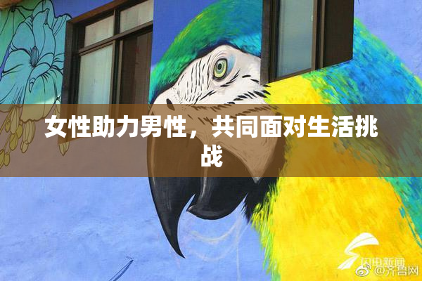 女性助力男性，共同面对生活挑战