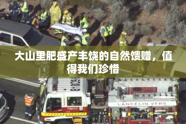 大山里肥盛产丰饶的自然馈赠，值得我们珍惜
