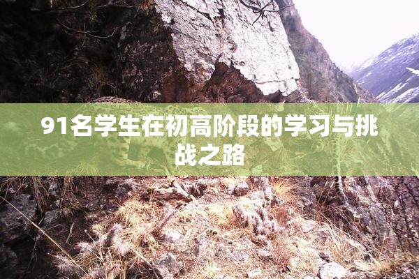 91名学生在初高阶段的学习与挑战之路