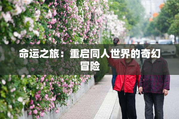 命运之旅：重启同人世界的奇幻冒险