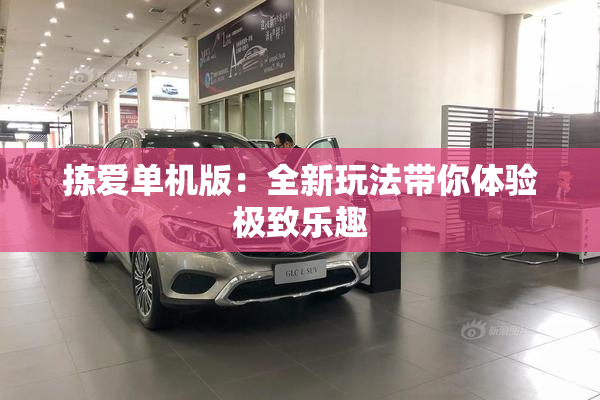 拣爱单机版：全新玩法带你体验极致乐趣