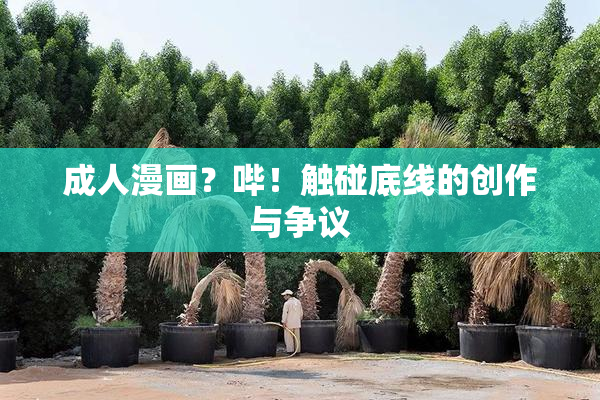 成人漫画？哔！触碰底线的创作与争议