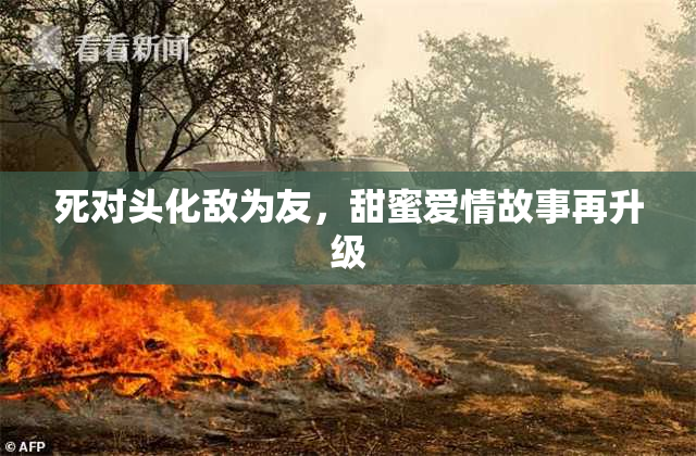 死对头化敌为友，甜蜜爱情故事再升级
