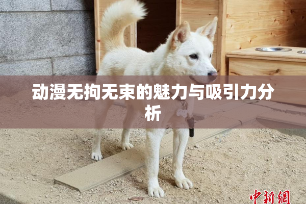 动漫无拘无束的魅力与吸引力分析