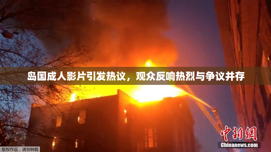 岛国成人影片引发热议，观众反响热烈与争议并存