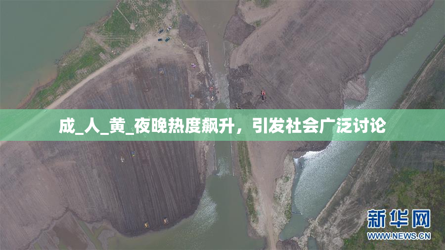 成_人_黄_夜晚热度飙升，引发社会广泛讨论