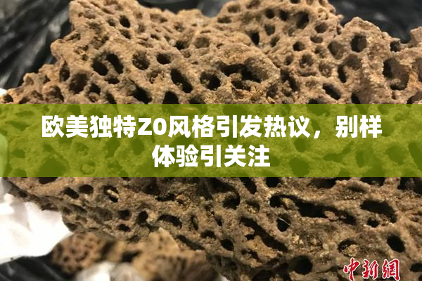 欧美独特Z0风格引发热议，别样体验引关注
