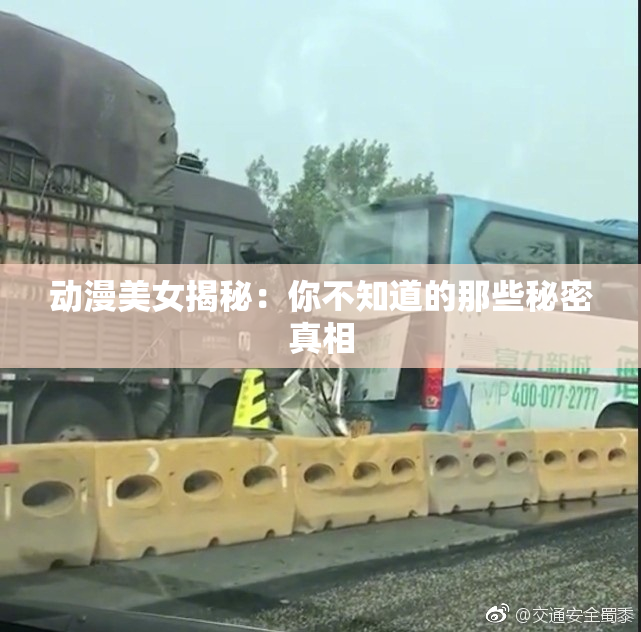 动漫美女揭秘：你不知道的那些秘密真相