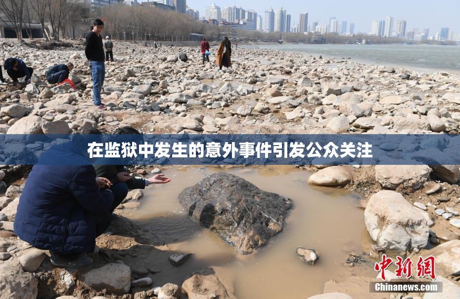 在监狱中发生的意外事件引发公众关注