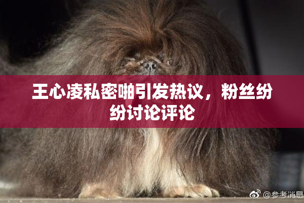 王心凌私密啪引发热议，粉丝纷纷讨论评论