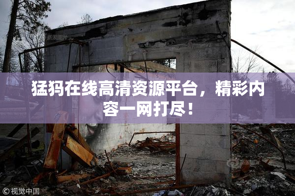 猛犸在线高清资源平台，精彩内容一网打尽！
