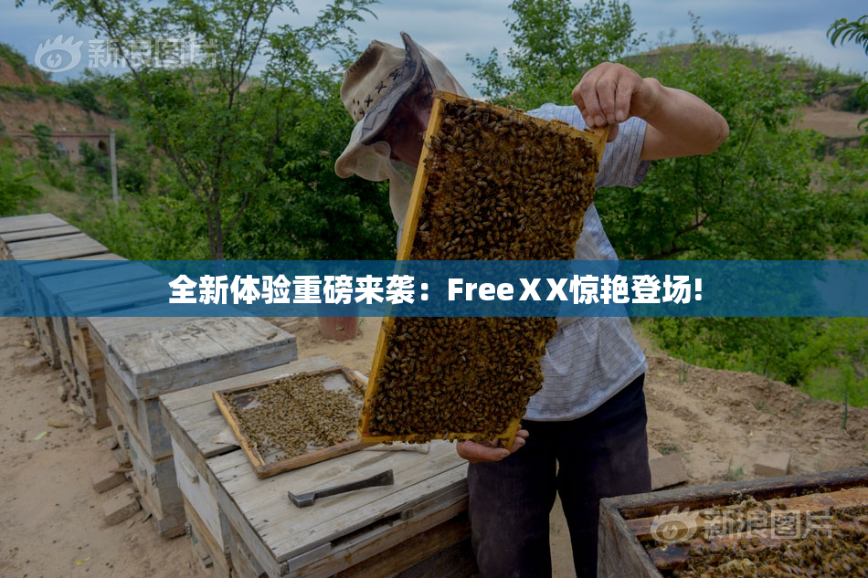 全新体验重磅来袭：FreeⅩX惊艳登场!