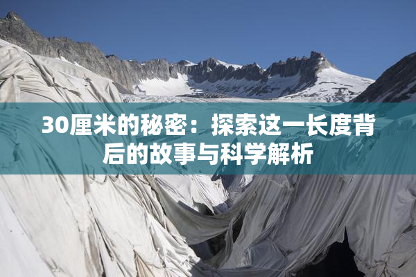 30厘米的秘密：探索这一长度背后的故事与科学解析