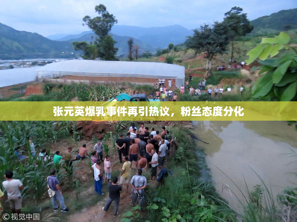 张元英爆乳事件再引热议，粉丝态度分化