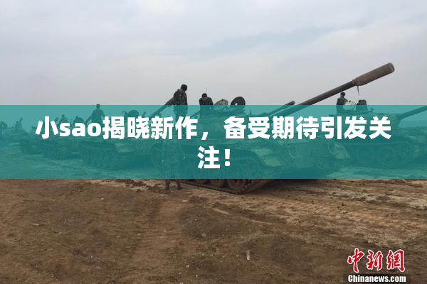 小sao揭晓新作，备受期待引发关注！