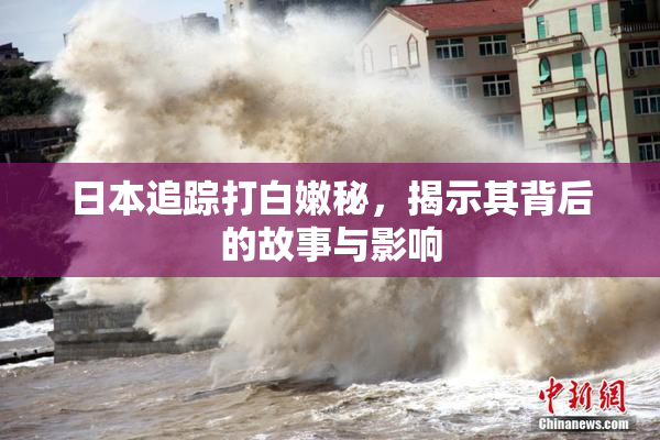 日本追踪打白嫩秘，揭示其背后的故事与影响