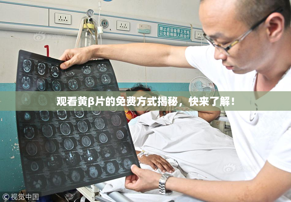 观看黄β片的免费方式揭秘，快来了解！