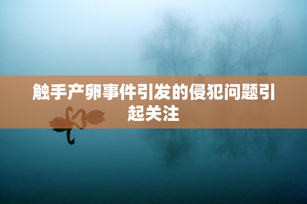 触手产卵事件引发的侵犯问题引起关注