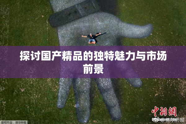 探讨国产精品的独特魅力与市场前景