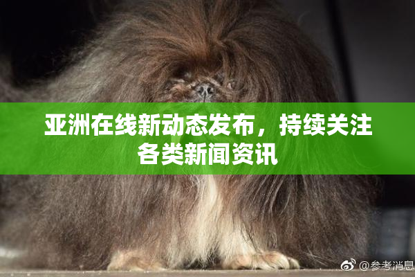 亚洲在线新动态发布，持续关注各类新闻资讯