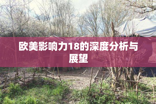 欧美影响力18的深度分析与展望