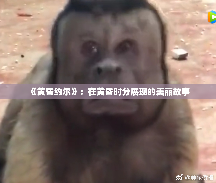 《黄昏约尔》：在黄昏时分展现的美丽故事