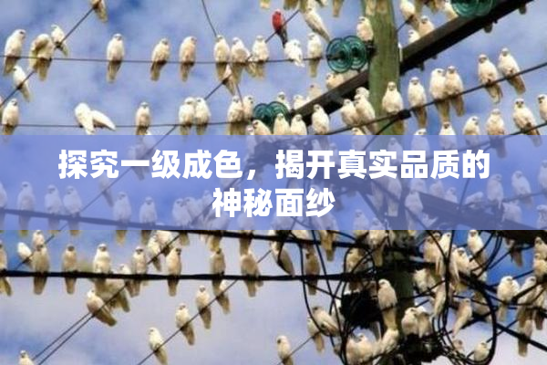 探究一级成色，揭开真实品质的神秘面纱