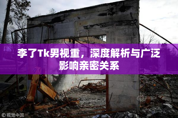 李了Tk男视重，深度解析与广泛影响亲密关系