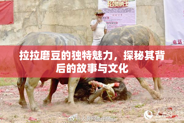 拉拉磨豆的独特魅力，探秘其背后的故事与文化