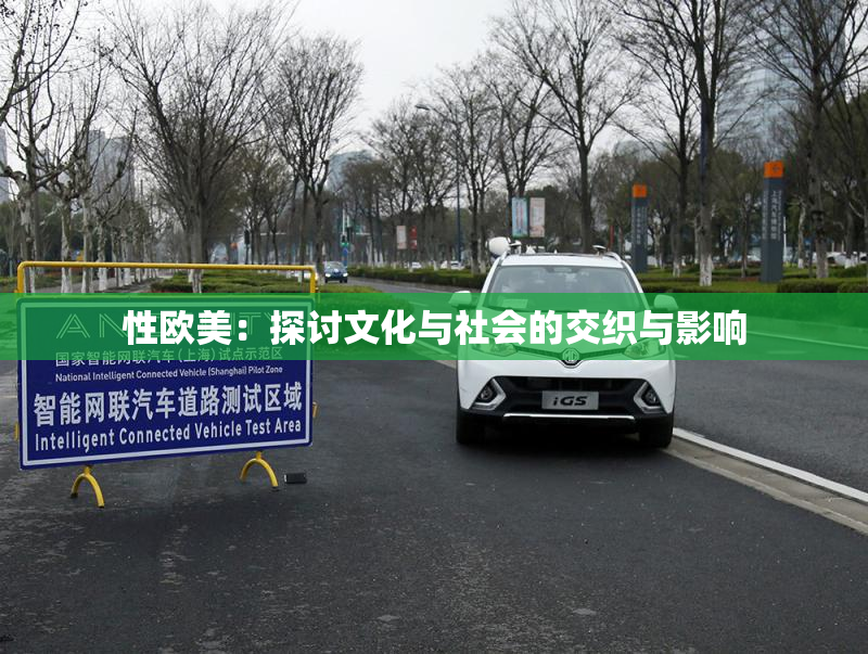 性欧美：探讨文化与社会的交织与影响