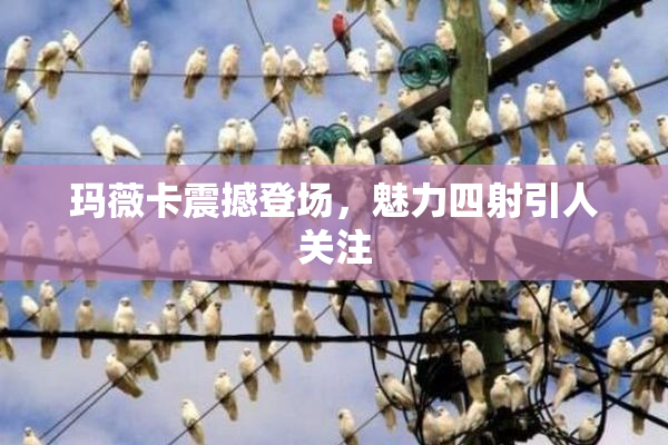 玛薇卡震撼登场，魅力四射引人关注