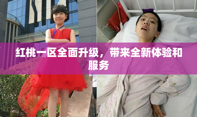 红桃一区全面升级，带来全新体验和服务